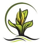 CVHS-LOGO CVHS-LOGO